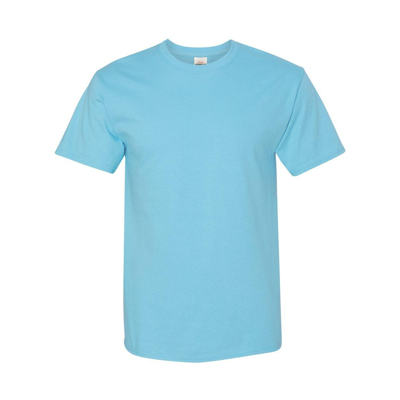 Hanes Authentic T-shirt In Multi
