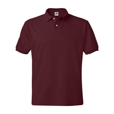 Hanes Ecosmart Jersey Polo In Multi