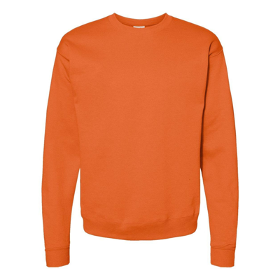 Hanes Ecosmart Crewneck Sweatshirt In Multi