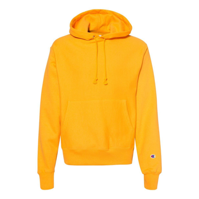 Champion Reverse Weave Hooded Sweatshirt In Multi