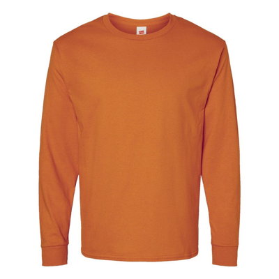 Hanes Essential-t Long Sleeve T-shirt In Multi