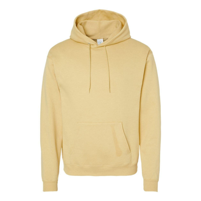 Hanes Ecosmart Hooded Sweatshirt In Multi