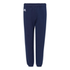 RUSSELL ATHLETIC DRI POWER CLOSED BOTTOM SWEATPANTS