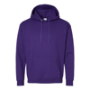 Hanes Ecosmart Hooded Sweatshirt In Multi