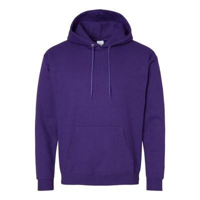 Hanes Ecosmart Hooded Sweatshirt In Multi