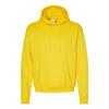 HANES ECOSMART HOODED SWEATSHIRT