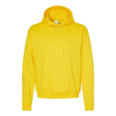 Hanes Ecosmart Hooded Sweatshirt In Multi