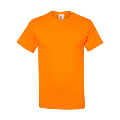Hanes Ecosmart T-shirt In Multi