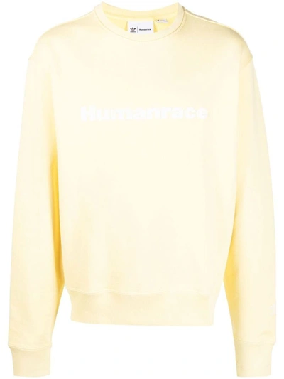 Adidas Originals X Humanrace By Pharrell Williams Basic Sweatshirt In Almost Yellow