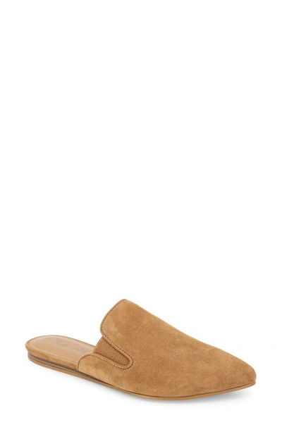 Splendid Women's Liza Pointed Toe Mules In Macchiato