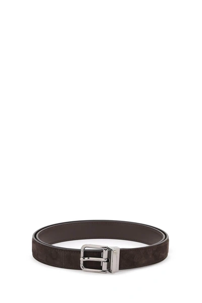 Dolce & Gabbana Logo-engraved Buckle Suede Belt In Brown