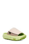 Ugg Venture Daze Platform Slide Sandal In Neutro,green