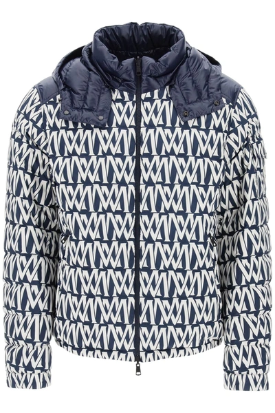 Moncler Down Jackets In Multi