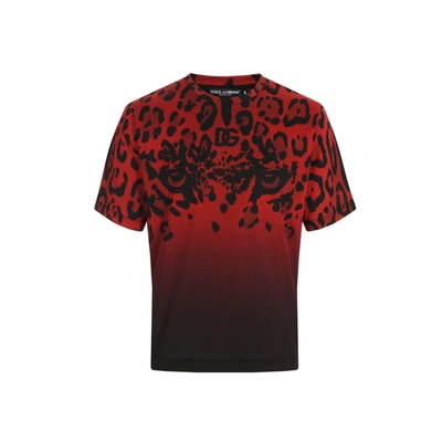 DOLCE & GABBANA DOLCE & GABBANA ANIMALIER T SHIRT