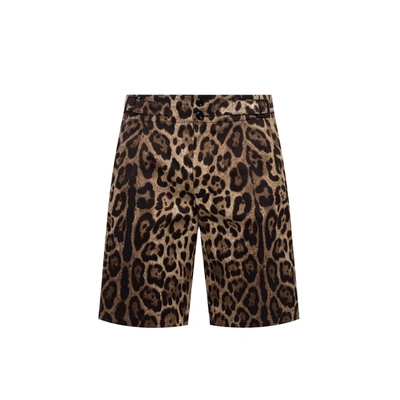 Dolce & Gabbana Bermuda Shorts In Brown