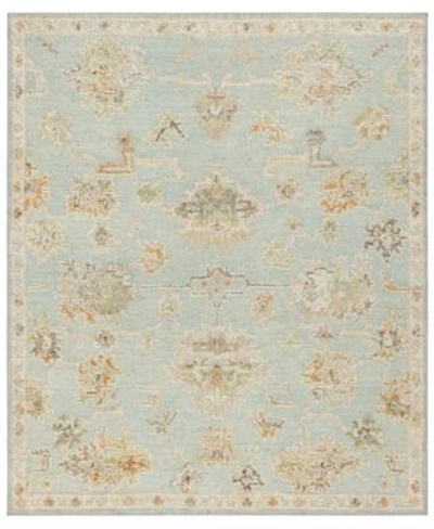 Karastan Coventry Westwood Area Rug In Turquoise