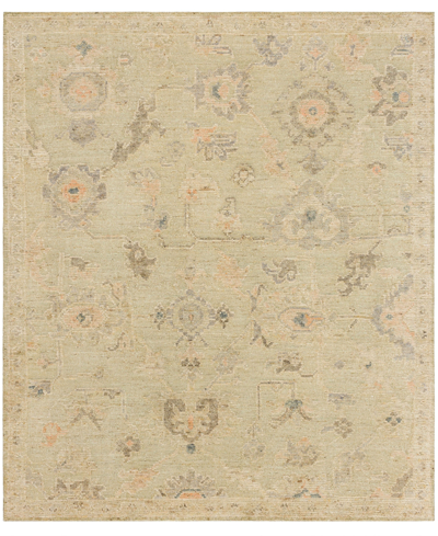 Karastan Coventry Stoneleigh Area Rug, 6' X 9' In Green