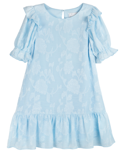 Rare Editions Kids' Toddler Girls Floral Burnout Chiffon Dress In Blue