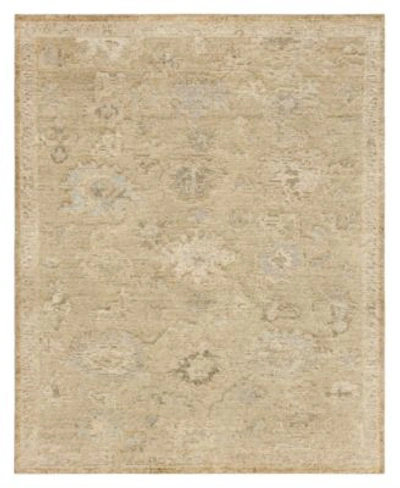 Karastan Coventry Berkswell Area Rug In Brown