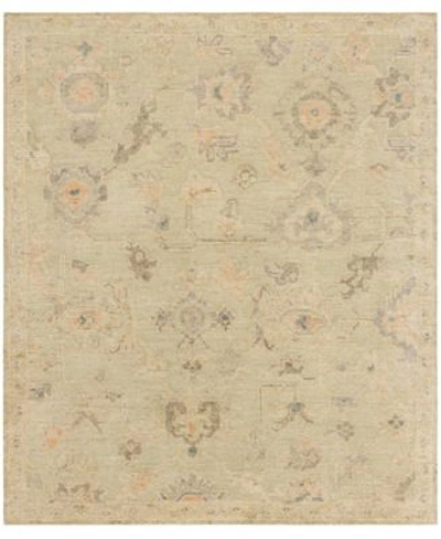 Karastan Coventry Stoneleigh Area Rug In Green