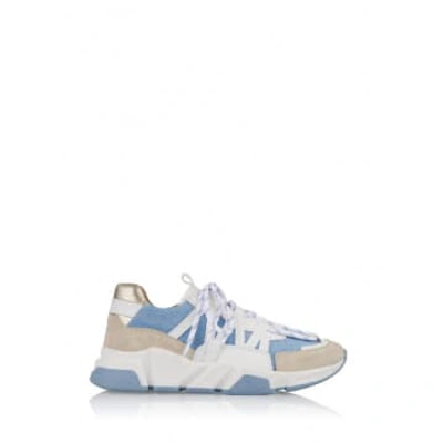 Dwrs | Los Angeles Trainer In Blue