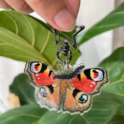 Ferne Creative Peacock Butterfly And Caterpillar Keyring In Multi