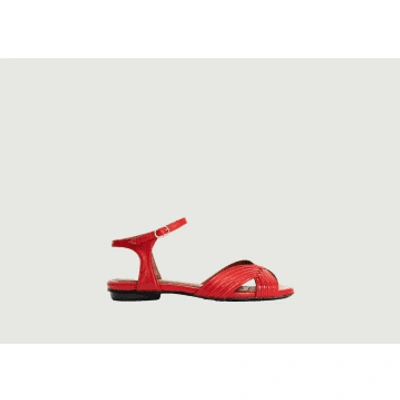 Anonymous Copenhagen Niabi 10 Sandals In Red