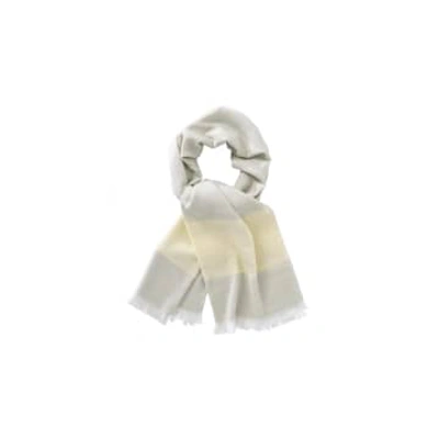 Yaya Mélange Scarf With Color Stripe And Frayed Edges In Metallic