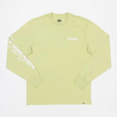 Dickies Timberville Long Sleeve T-shirt In Pale Green