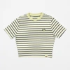 DICKIES WOMEN'S ALTOONA STRIPED T-SHIRT IN PALE GREEN
