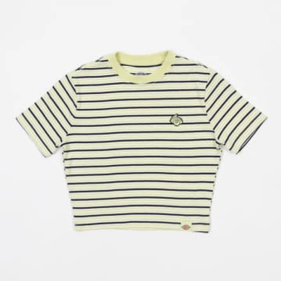 DICKIES WOMEN'S ALTOONA STRIPED T-SHIRT IN PALE GREEN