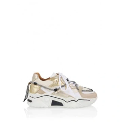 Dwrs | Jupiter Sneaker In White