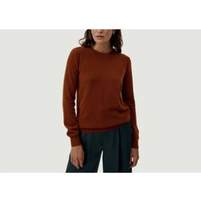 Hircus Lory Cashmere Sweater In Burgundy