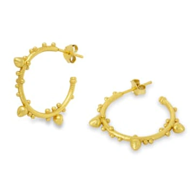 Ashiana Allegra Hoop Earrings In Gold