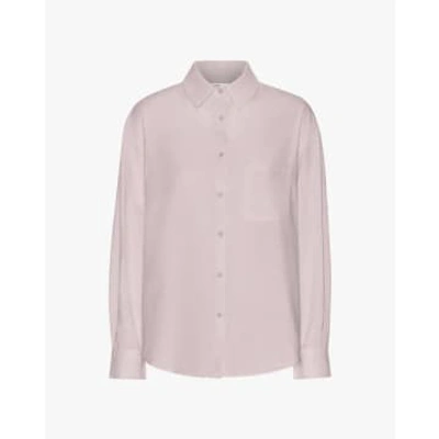 Colorful Standard Organic Oversized Shirt In Pink