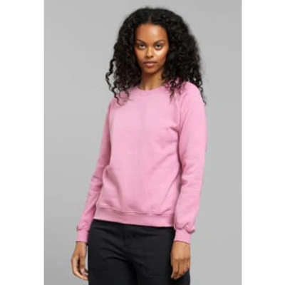 Dedicated Ystad Raglan Sweatshirt | Cashmere Pink