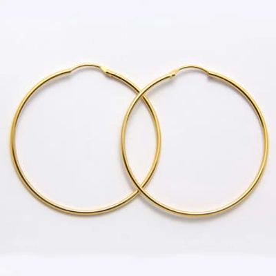 Dlirio Large Hoop Earrings In Gold