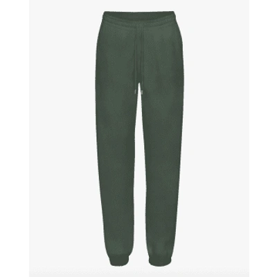 Colorful Standard Cs1011 Organic Sweatpants Midnight Forrest In Green