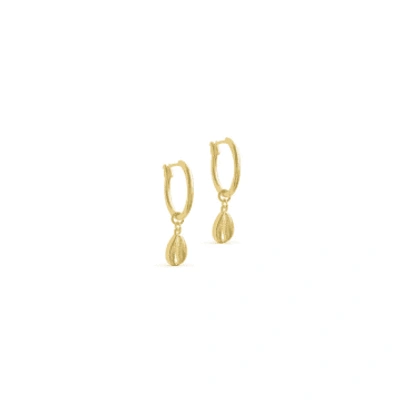 Formation Cowrie Shell Hoops In Gold