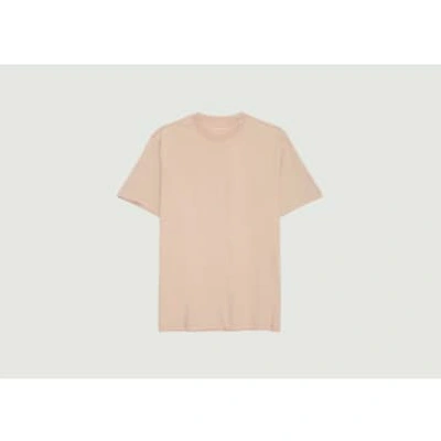 Knowledge Cotton Apparel Basic Regular T-shirt In Neutral