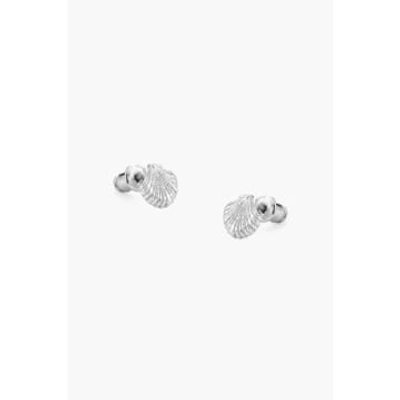 Tutti & Co Ea608s Shell Earrings Silver In Metallic