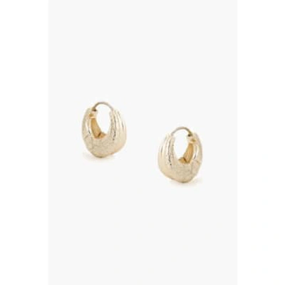 Tutti & Co Ea589g Array Earrings Gold