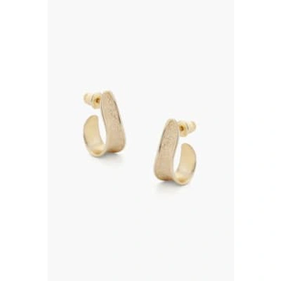 Tutti & Co Ea575g Bask Earrings Gold