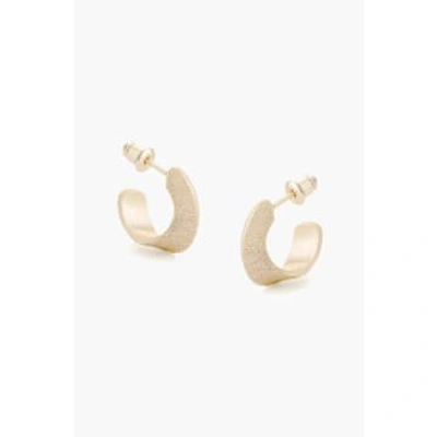 Tutti & Co Ea611g Vivid Earrings Gold