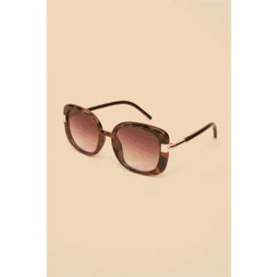 Powder Pai13 Paige Ltd Edition Sunglasses In Brown