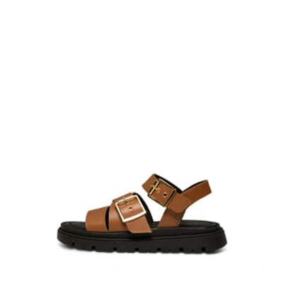 Shoe The Bear Rebecca Buckle Sandals Cognac In Brown