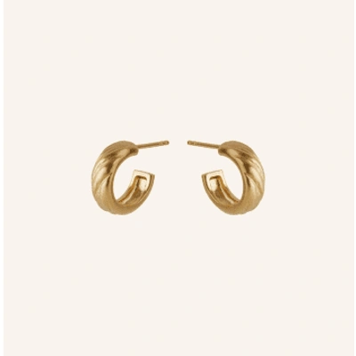 Pernille Corydon Small River Hoop Earrings In Metallic