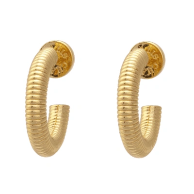 Talis Chains Ridge Hoop Earrings In Gold