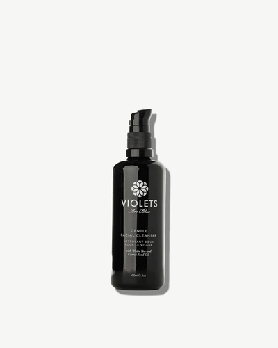 Violets Are Blue Gentle Cleanser With White Tea And Carrot Seed