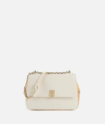 Alviero Martini Bags In Ivory